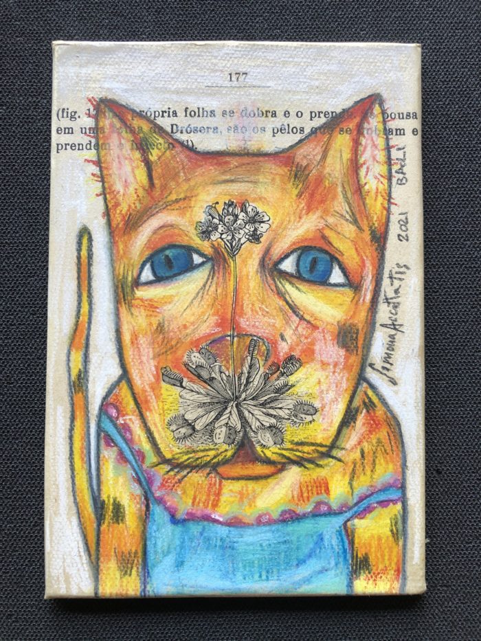 Drawing cats art color pencils books